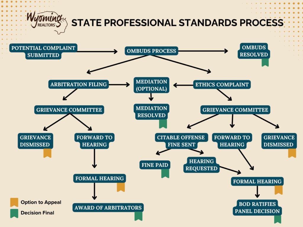 Professional Standards Process